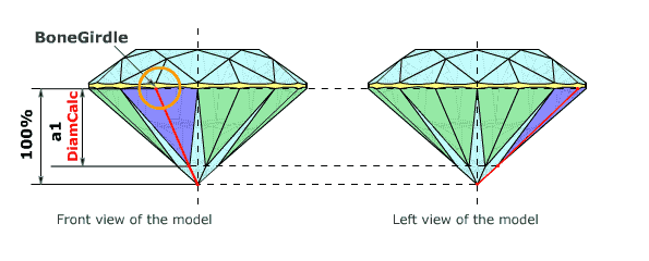 Mesurements of Depth girdle facet parameters a1