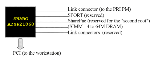 The root PM structure