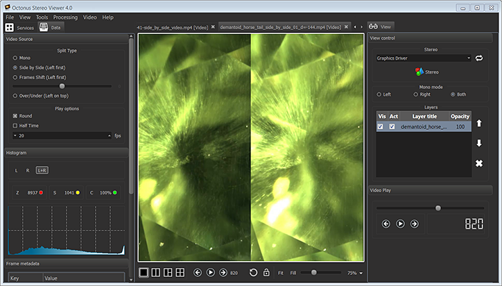 Stereo Viewer